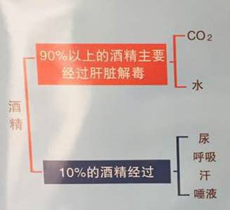 酒后駕駛危害多，你都知道哪些？